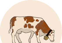pepita
