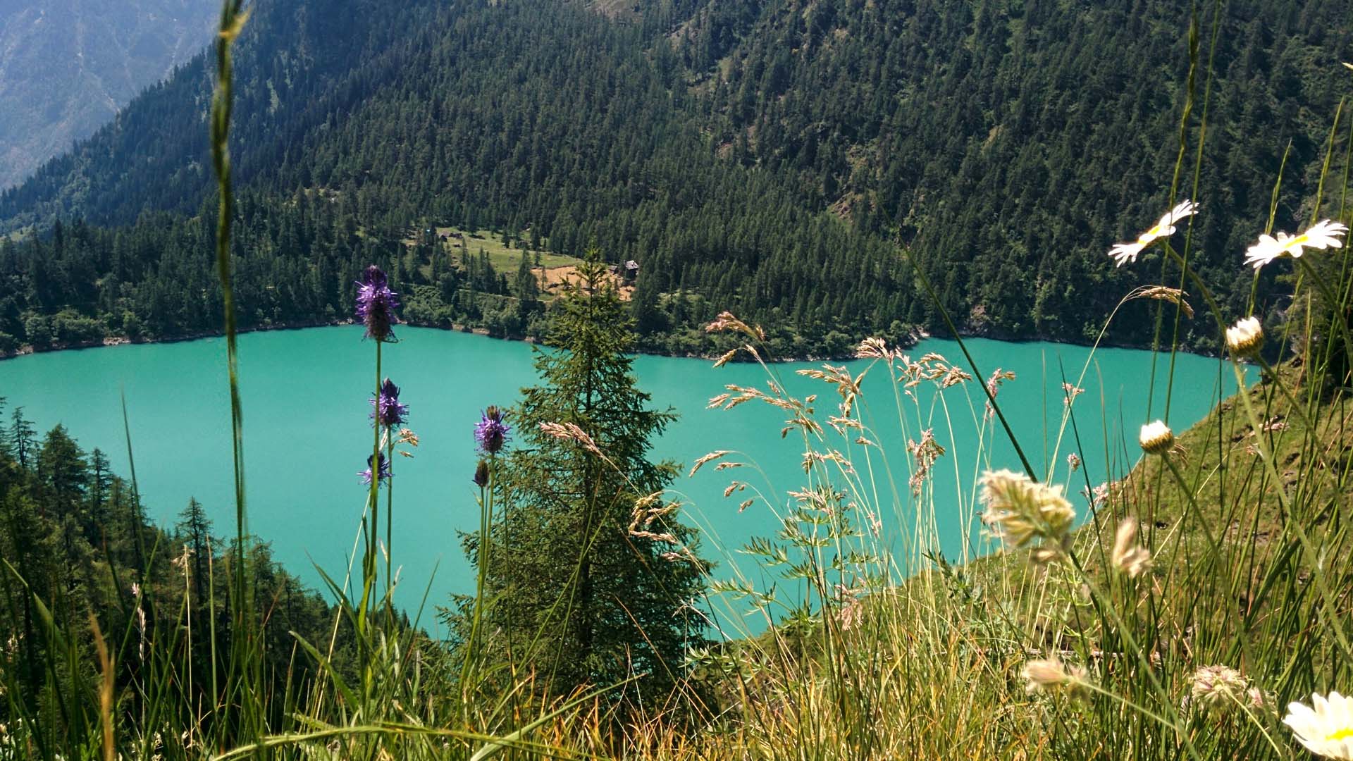 lago dei cavalli valle antrona, itinerarium