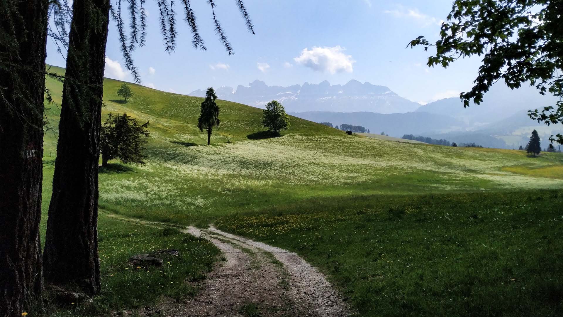 Itinerari fuori porta - Trentino Alto Adige, itinerarium