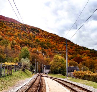 Trontano: vines and mills (long ring) - itinerarium