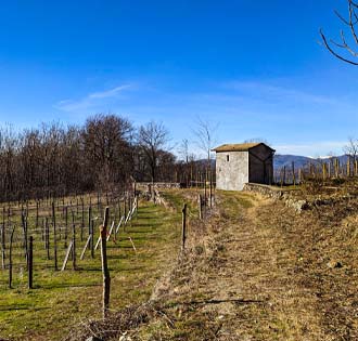 Da Invorio alle vigne di San Michele - itinerarium