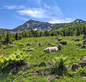 Rifugio Parpinasca - itinerarium