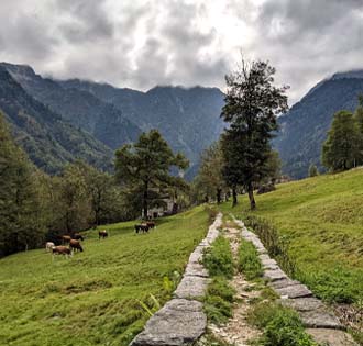 The ancient mule track in Valle Olocchia - itinerarium