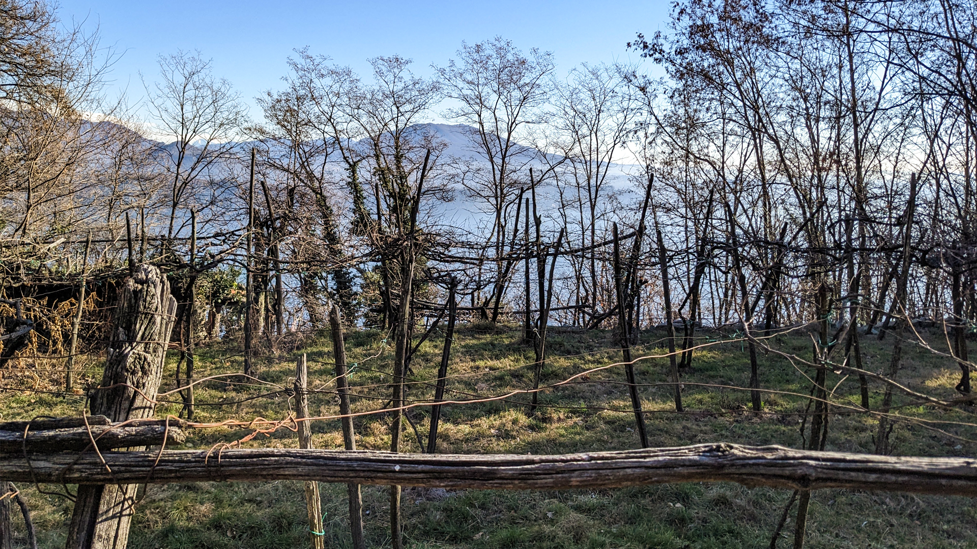 vigna lago maggiore escursioni, itinerarium