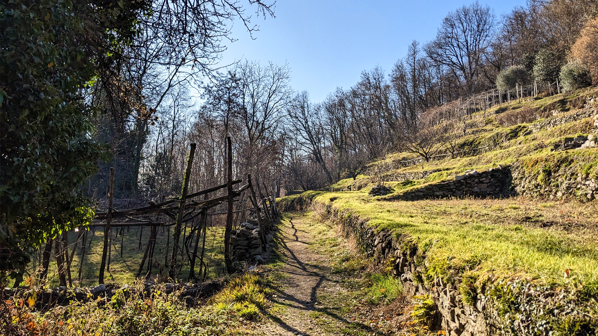 vigneti lago maggiore trekking, itinerarium