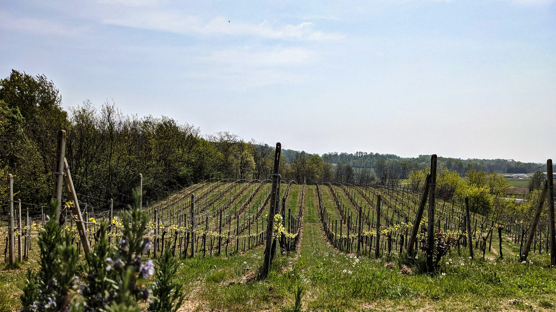 vigne mtb trekking escursioni, itinerarium