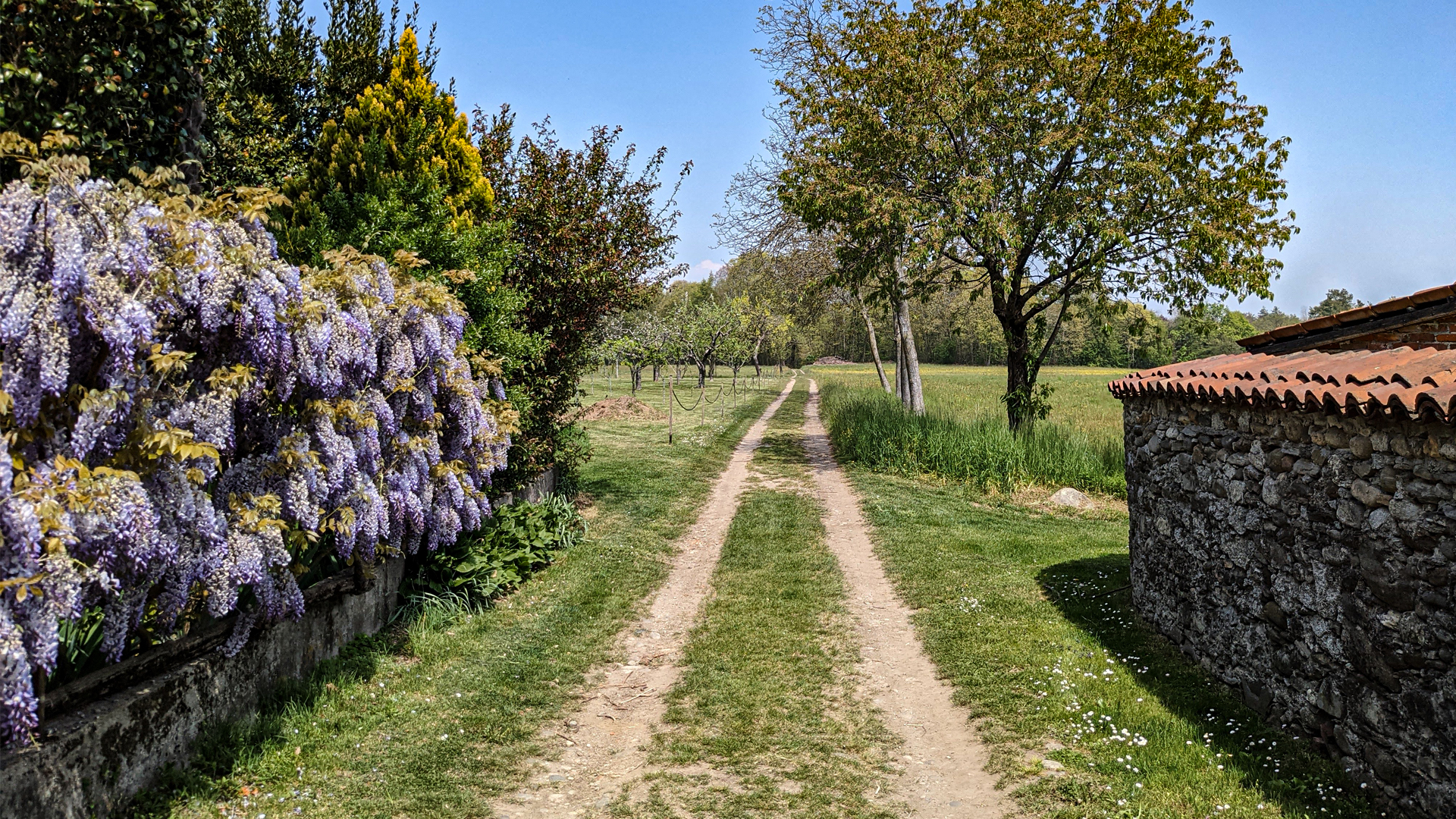 cantina vigna escursione trekking, itinerarium