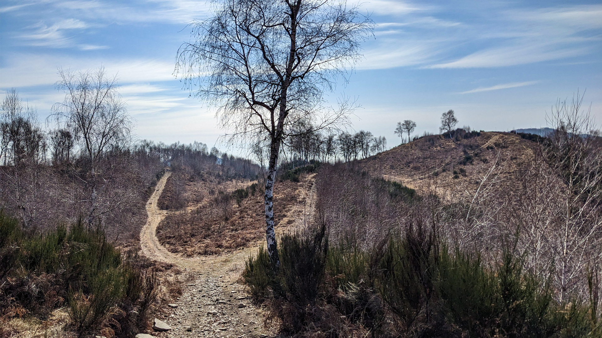 mtb lago maggiore mottarone, itinerarium