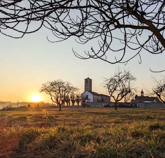 The ancient vineyards of Porta del Vergante - itinerarium