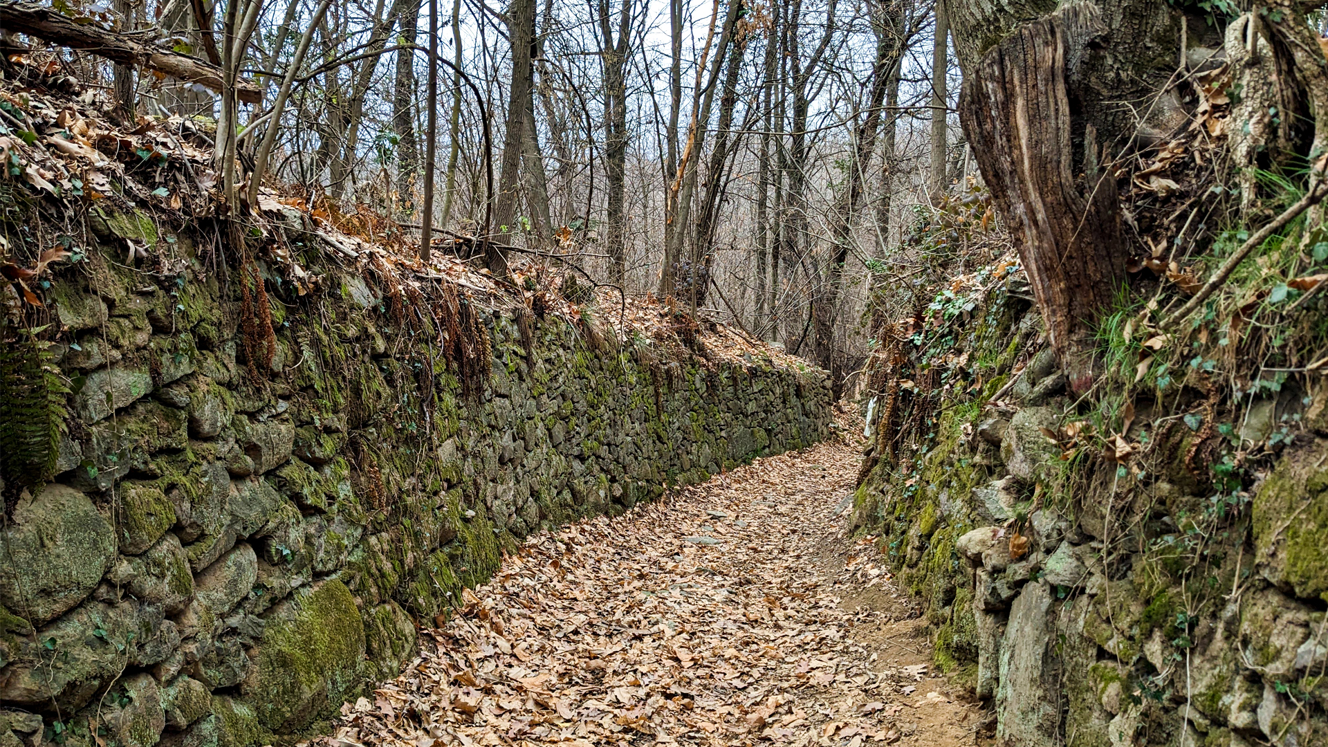 escursioni mtb vergante colline novaresi, itinerarium