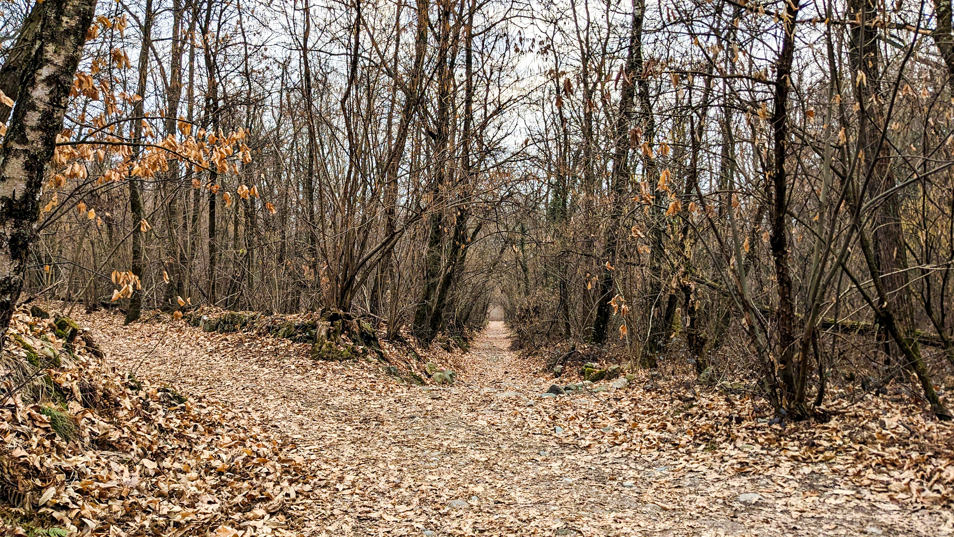 e-bike mtb trekking vergante, itinerarium