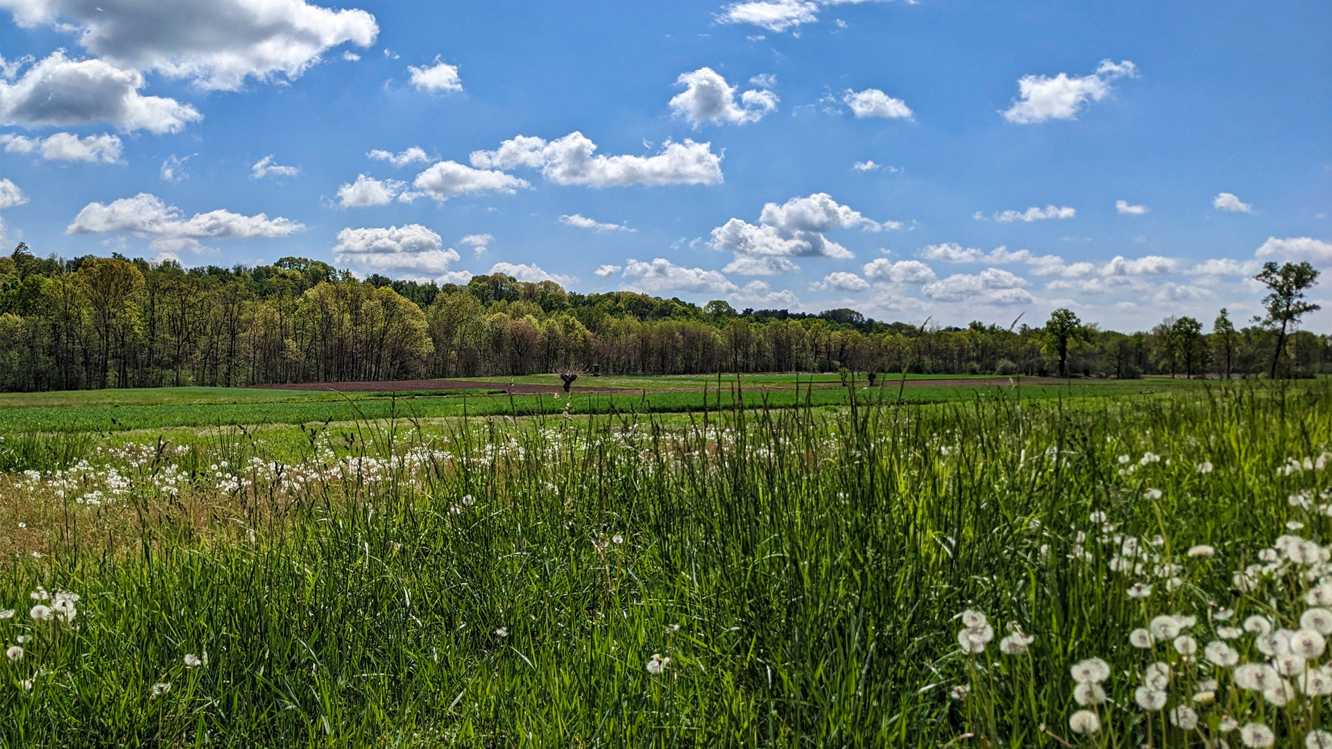 cammino colline novaresi trekking, itinerarium