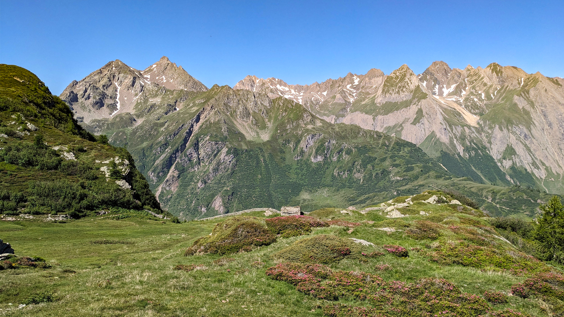 ghighel formazza fioriture sentiero, itinerarium