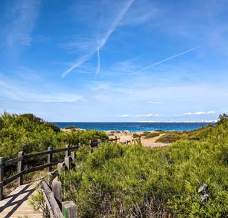 Punta della Suina: beach and pine grove - itinerarium