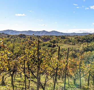 I vigneti del Boca DOC e il Parco del Fenera - itinerarium