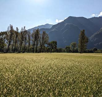 Vogogna and the Bosco Tenso - itinerarium